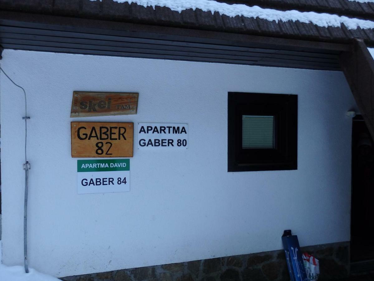 Apartma Gaber 80 Zreče Εξωτερικό φωτογραφία